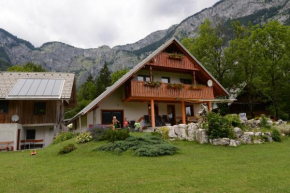 Mežnar's beautiful nature holiday house Ukanc Bohinjska Bistrica